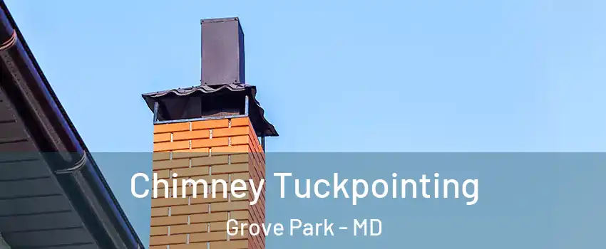 Chimney Tuckpointing Grove Park - MD