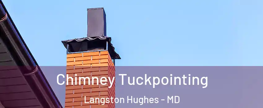 Chimney Tuckpointing Langston Hughes - MD