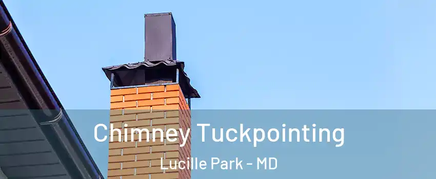 Chimney Tuckpointing Lucille Park - MD