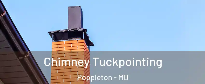 Chimney Tuckpointing Poppleton - MD