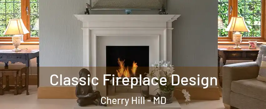 Classic Fireplace Design Cherry Hill - MD