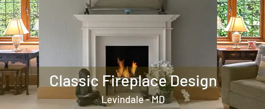 Classic Fireplace Design Levindale - MD