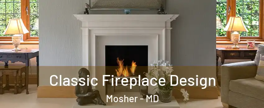 Classic Fireplace Design Mosher - MD