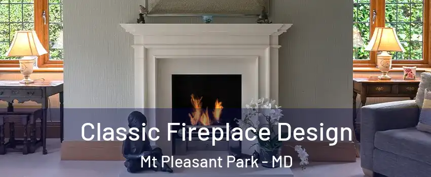 Classic Fireplace Design Mt Pleasant Park - MD