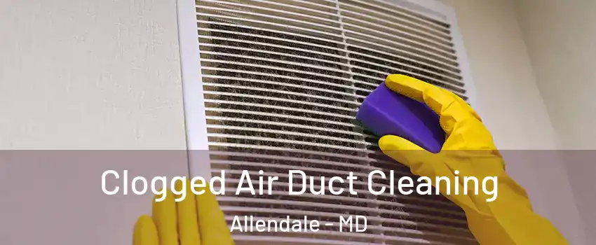 Clogged Air Duct Cleaning Allendale - MD