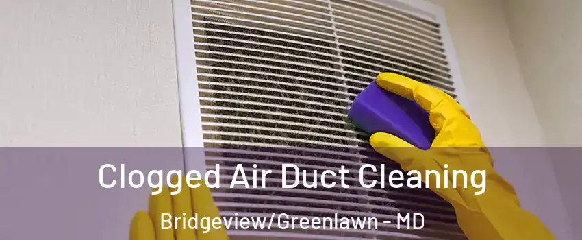 Clogged Air Duct Cleaning Bridgeview/Greenlawn - MD