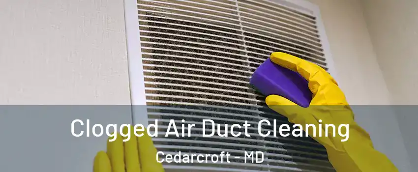 Clogged Air Duct Cleaning Cedarcroft - MD