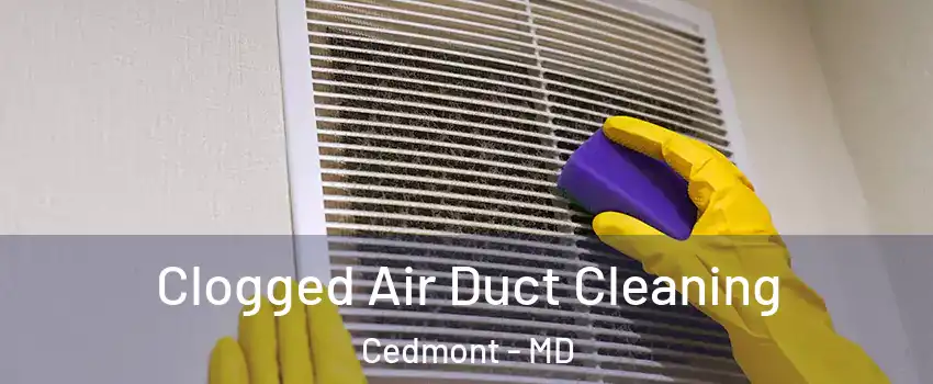 Clogged Air Duct Cleaning Cedmont - MD