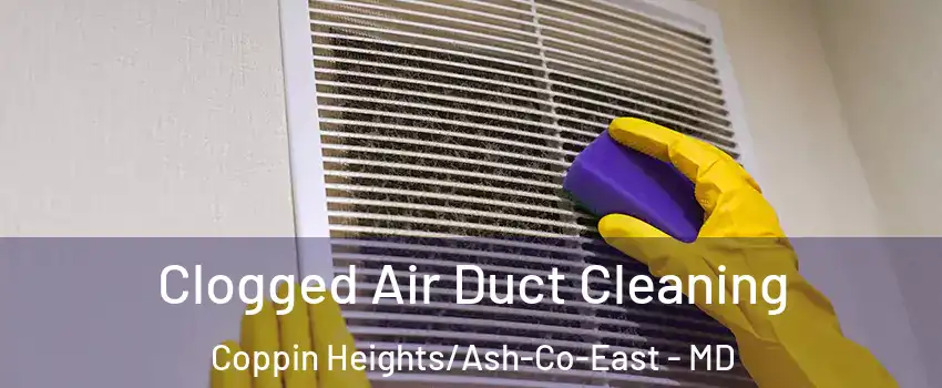 Clogged Air Duct Cleaning Coppin Heights/Ash-Co-East - MD