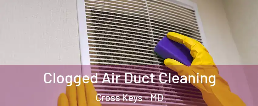 Clogged Air Duct Cleaning Cross Keys - MD