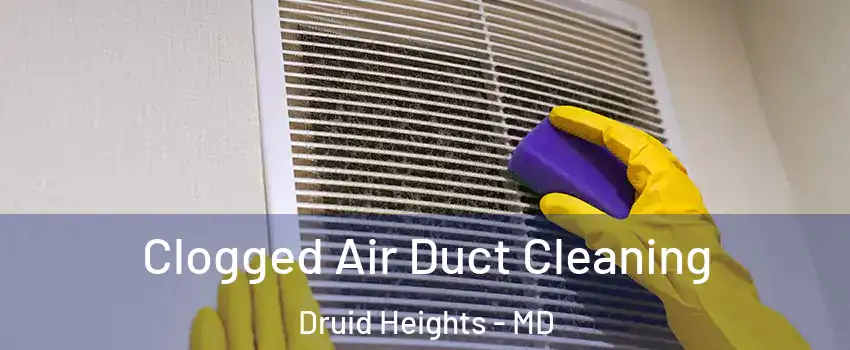 Clogged Air Duct Cleaning Druid Heights - MD