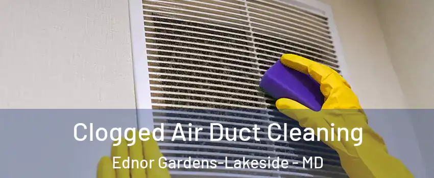 Clogged Air Duct Cleaning Ednor Gardens-Lakeside - MD