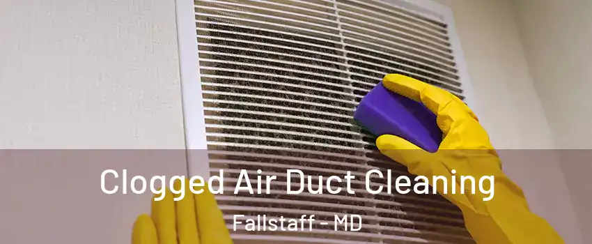 Clogged Air Duct Cleaning Fallstaff - MD