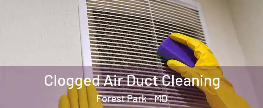 Clogged Air Duct Cleaning Forest Park - MD