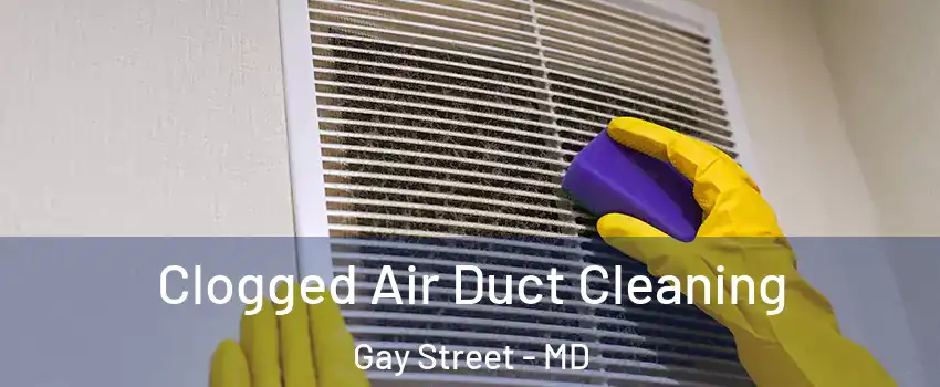 Clogged Air Duct Cleaning Gay Street - MD