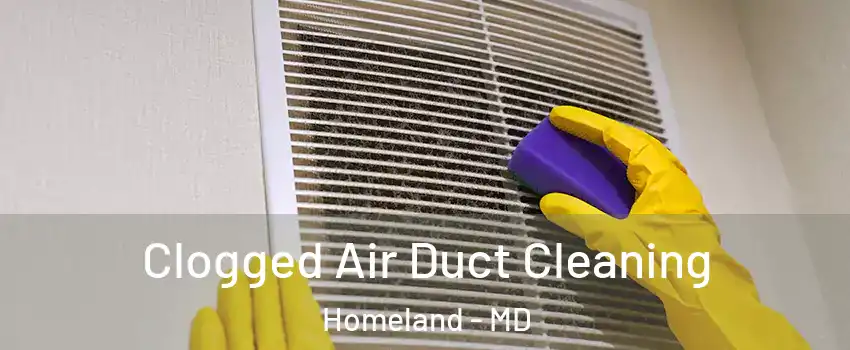 Clogged Air Duct Cleaning Homeland - MD
