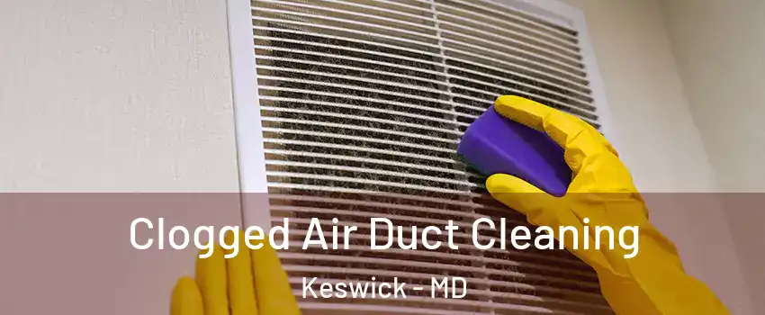 Clogged Air Duct Cleaning Keswick - MD