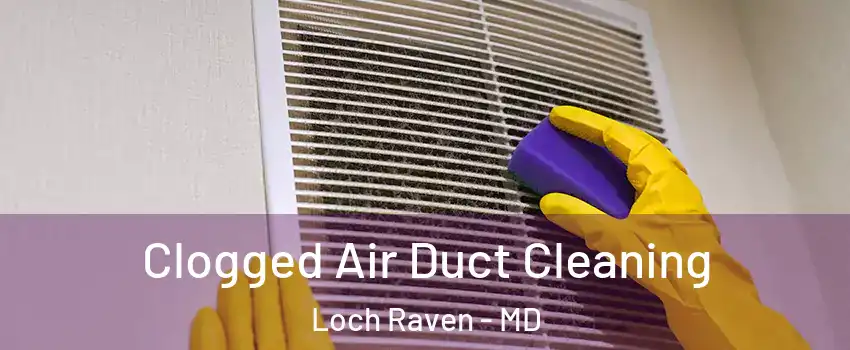 Clogged Air Duct Cleaning Loch Raven - MD