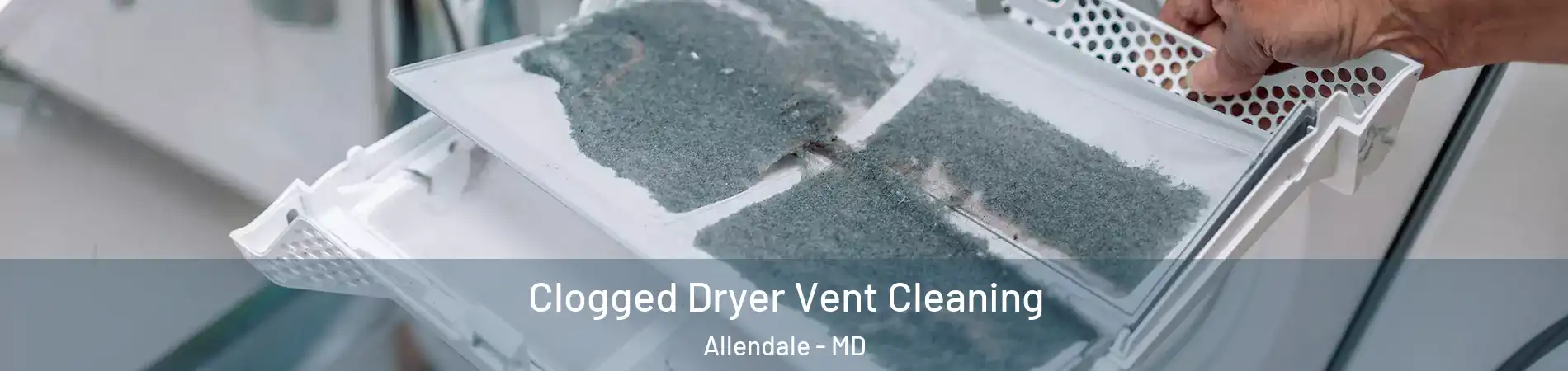 Clogged Dryer Vent Cleaning Allendale - MD