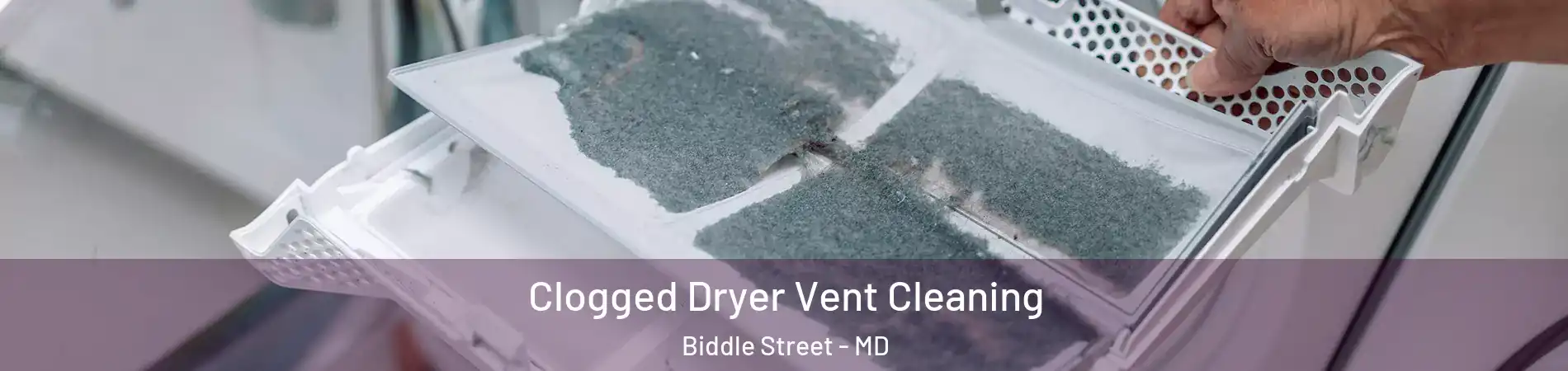 Clogged Dryer Vent Cleaning Biddle Street - MD