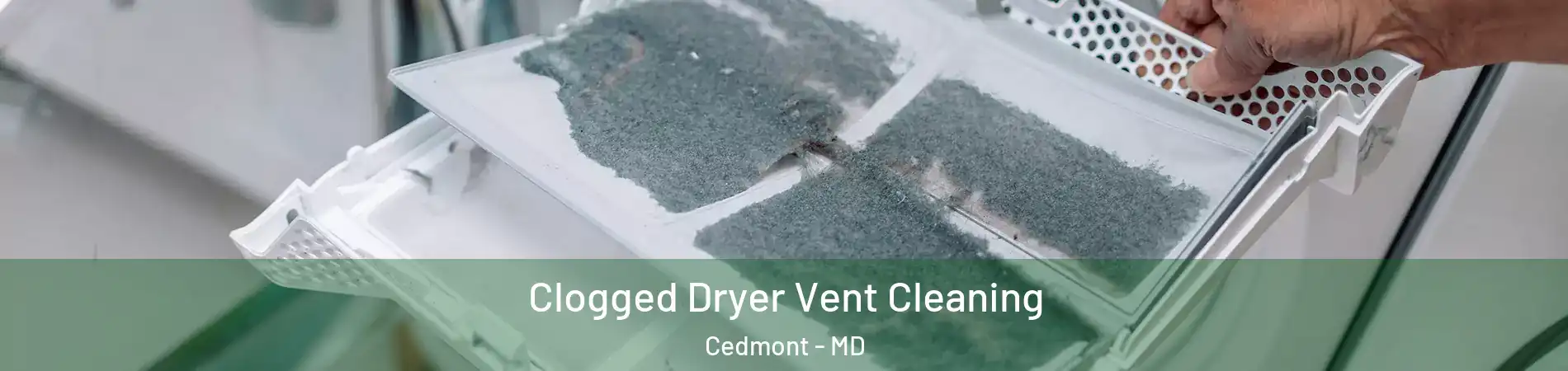 Clogged Dryer Vent Cleaning Cedmont - MD