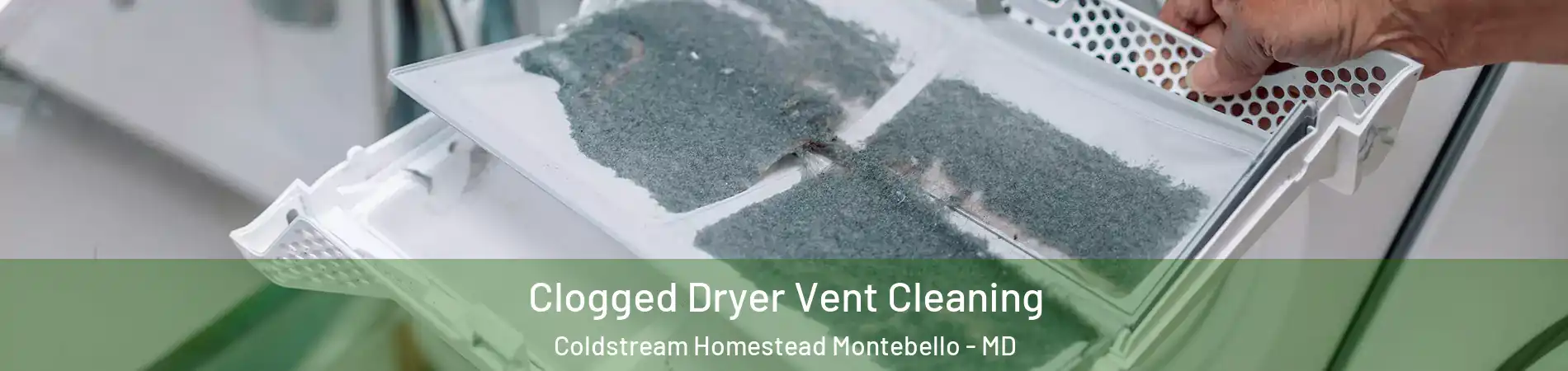 Clogged Dryer Vent Cleaning Coldstream Homestead Montebello - MD