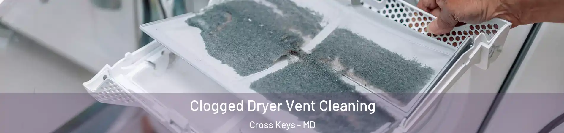 Clogged Dryer Vent Cleaning Cross Keys - MD