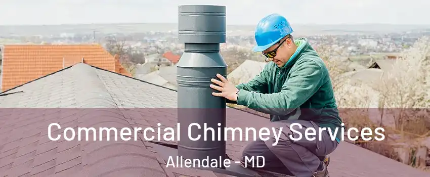 Commercial Chimney Services Allendale - MD