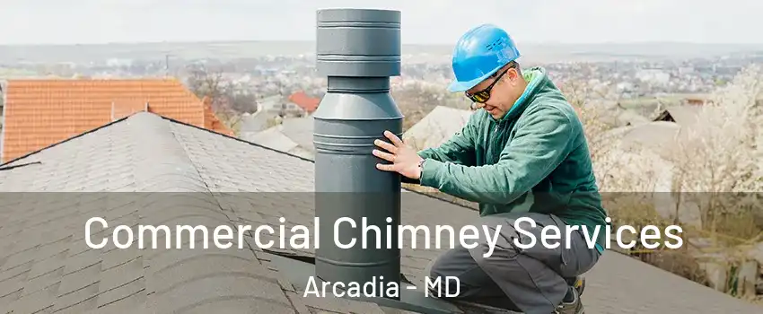 Commercial Chimney Services Arcadia - MD