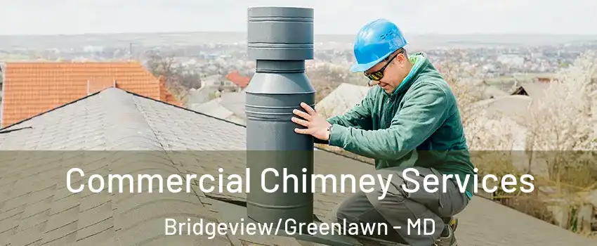 Commercial Chimney Services Bridgeview/Greenlawn - MD
