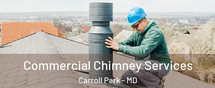 Commercial Chimney Services Carroll Park - MD