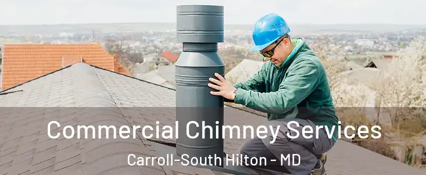 Commercial Chimney Services Carroll-South Hilton - MD