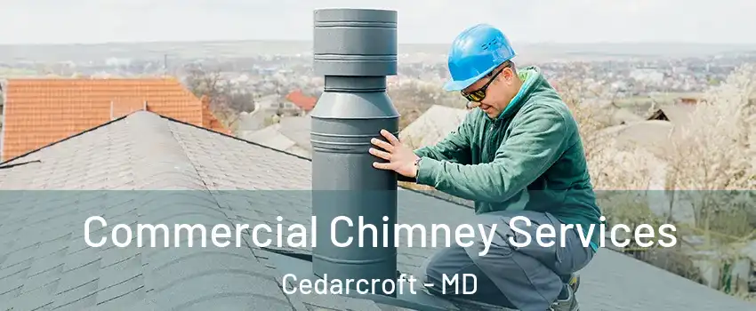 Commercial Chimney Services Cedarcroft - MD