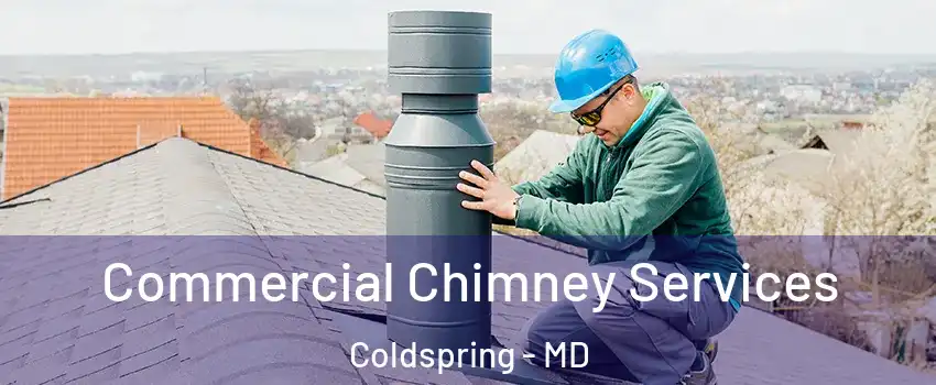 Commercial Chimney Services Coldspring - MD