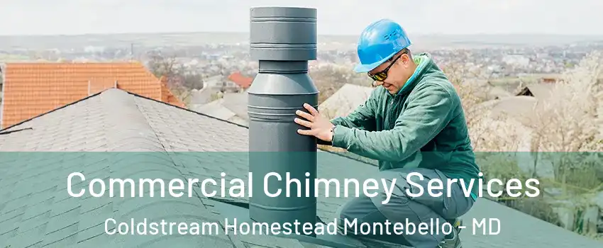 Commercial Chimney Services Coldstream Homestead Montebello - MD