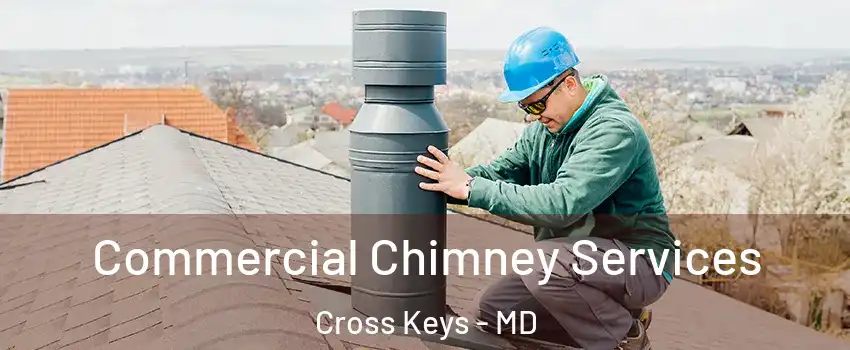 Commercial Chimney Services Cross Keys - MD