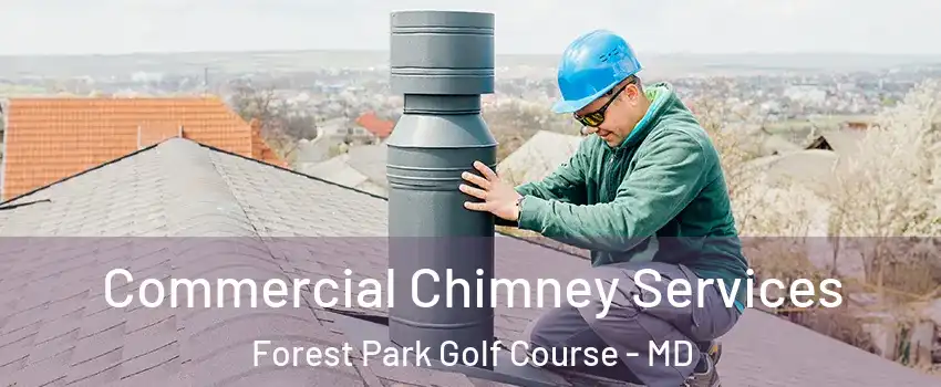 Commercial Chimney Services Forest Park Golf Course - MD