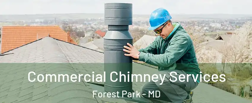 Commercial Chimney Services Forest Park - MD