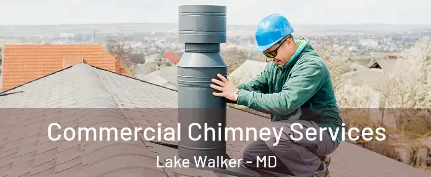 Commercial Chimney Services Lake Walker - MD