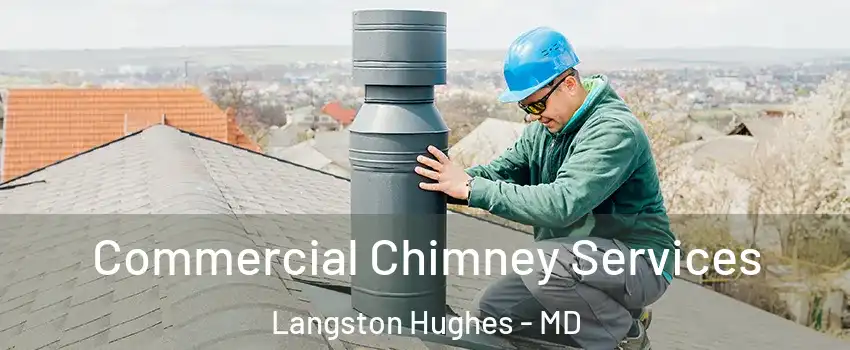Commercial Chimney Services Langston Hughes - MD