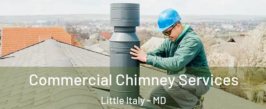 Commercial Chimney Services Little Italy - MD