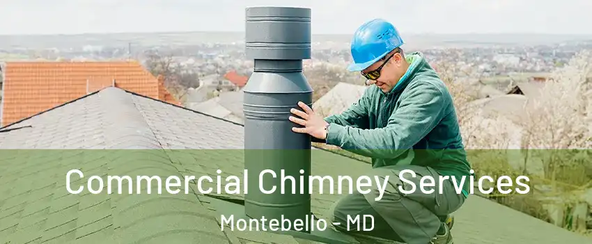Commercial Chimney Services Montebello - MD