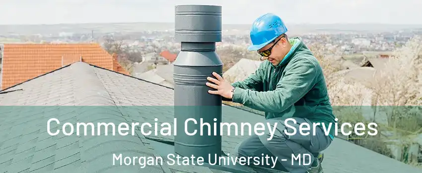 Commercial Chimney Services Morgan State University - MD