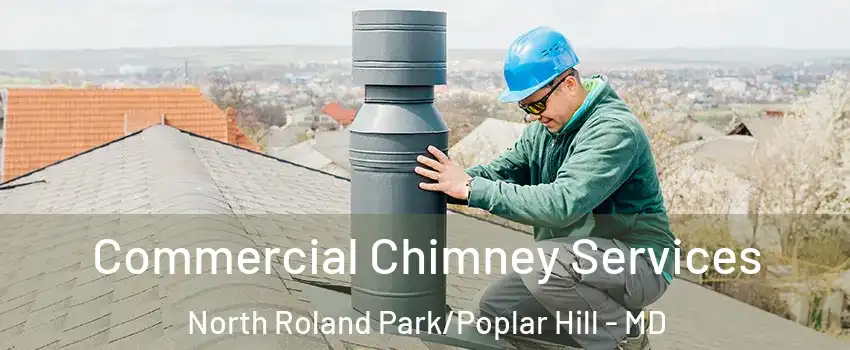 Commercial Chimney Services North Roland Park/Poplar Hill - MD