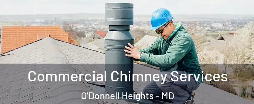 Commercial Chimney Services O'Donnell Heights - MD