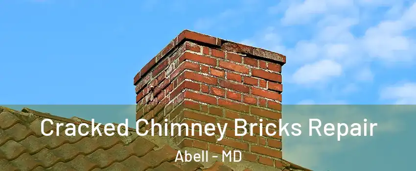 Cracked Chimney Bricks Repair Abell - MD