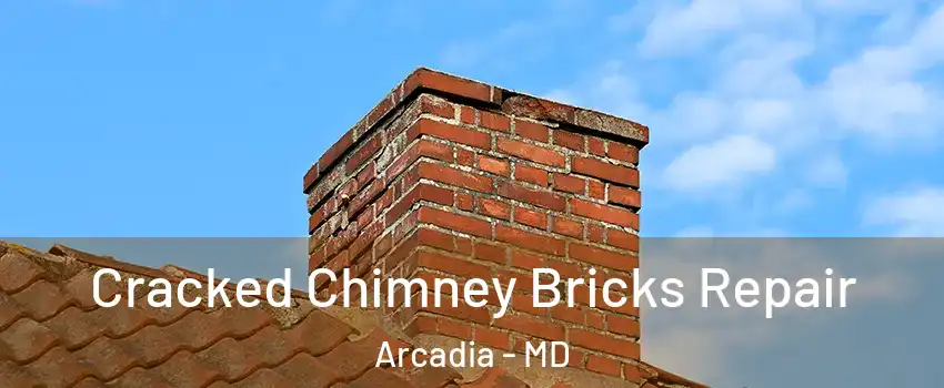 Cracked Chimney Bricks Repair Arcadia - MD