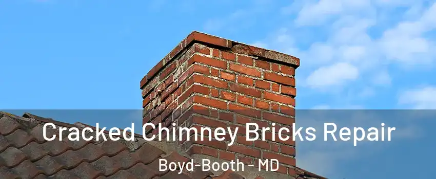 Cracked Chimney Bricks Repair Boyd-Booth - MD