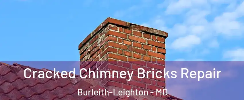 Cracked Chimney Bricks Repair Burleith-Leighton - MD