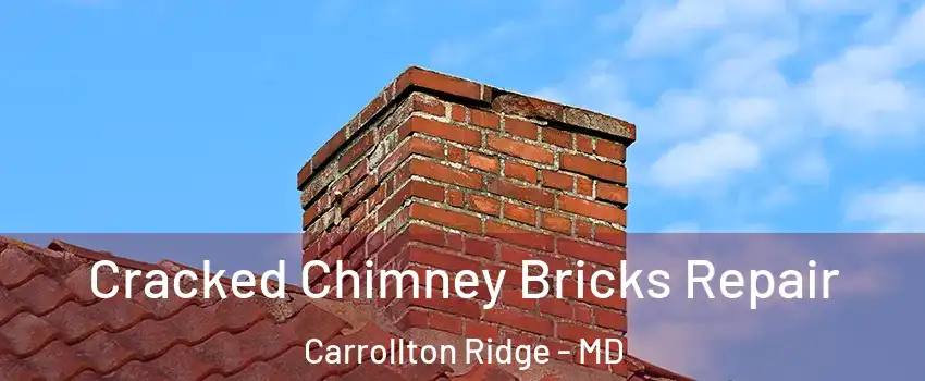 Cracked Chimney Bricks Repair Carrollton Ridge - MD